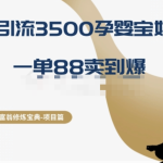 十万个富翁修炼宝典之13.2个月引流3500孕婴宝妈流量，一单88卖到爆