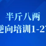 半斤八两逆向培训1-27