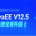 黑马Java2022最新版本全套v12.5+狂野终极项目