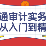 学通审计实务要点从入门到精通课