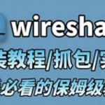 Wireshark+Sniffer视频讲解